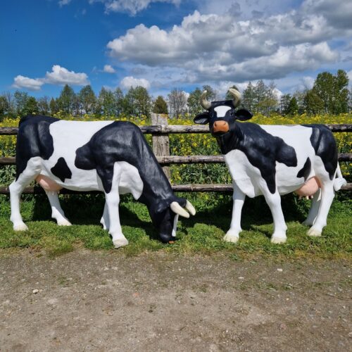 Vache tête haute et vache taille réelle tête basse noire et blanche en résine