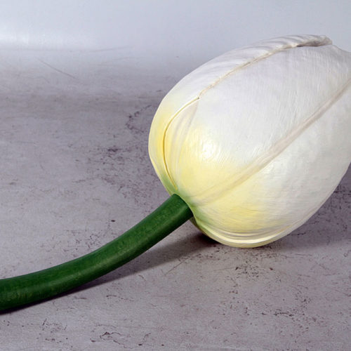 Bouton tulipe blanc NLC DECO