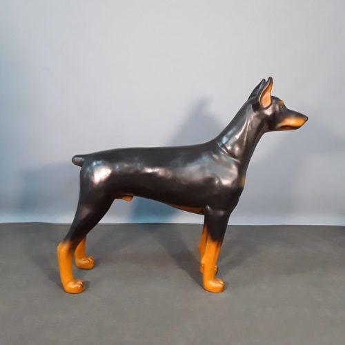 Doberman vétérinaire nlcdeco