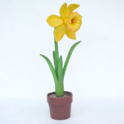 Narcisse-nlcdeco fleur