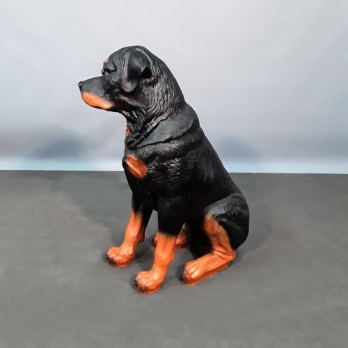 Rottweiler éleveur canin nlcdeco