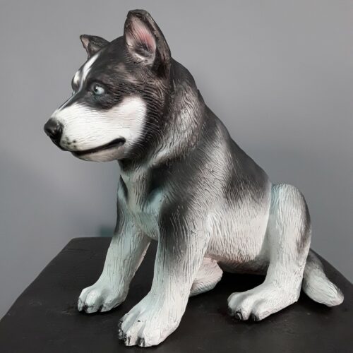 chiot husky