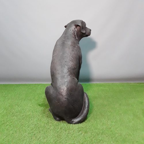 reproduction chien labrador nlcdeco