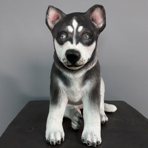reproduction chiot husky