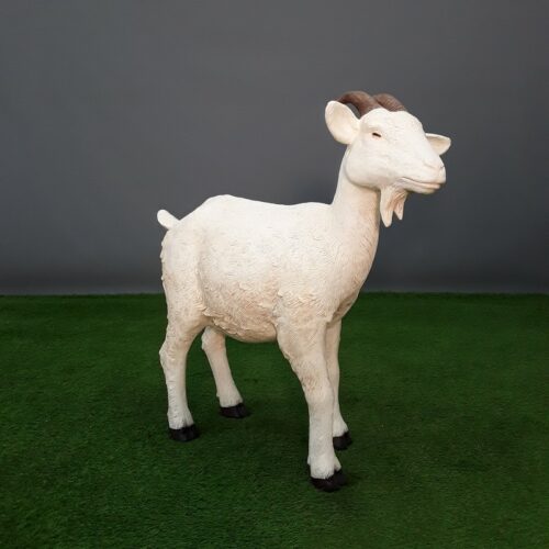 statue chèvre blanche taille réelle nlcdeco