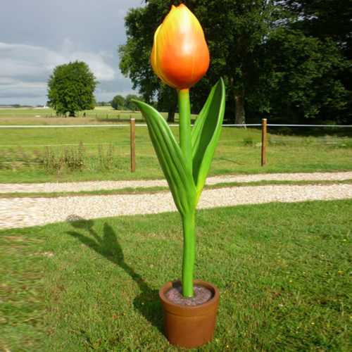 Tulipe-géante-nlcdeco