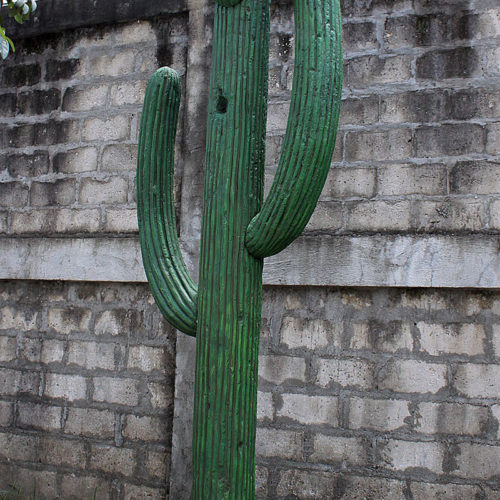 Cactus géant NLC DEC
