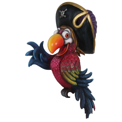 Perroquet pirate