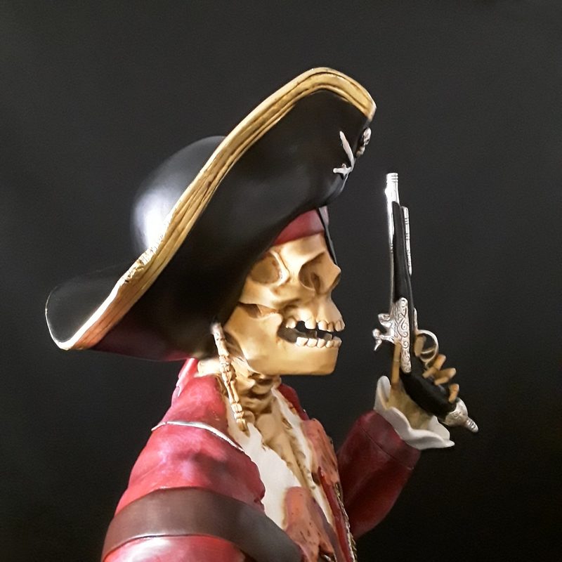 Squelette pirate visage nlcdeco