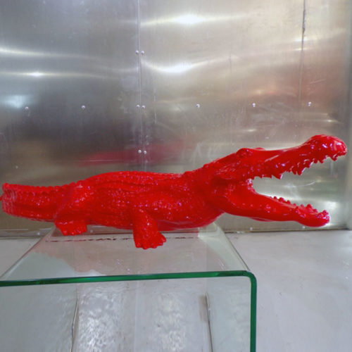 Crocodile couleur M – Image 4