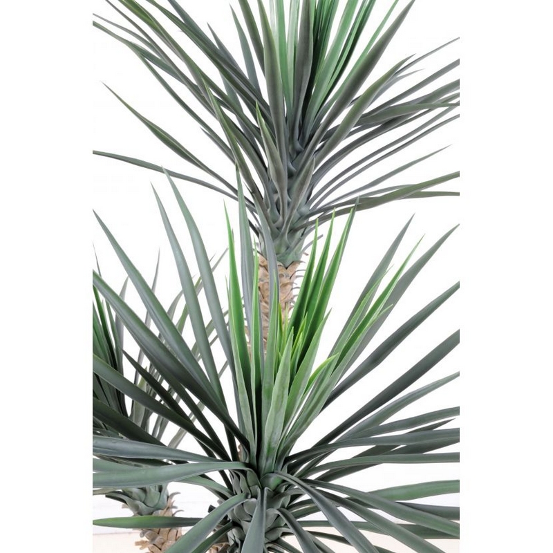Feuillage yucca nlcdeco