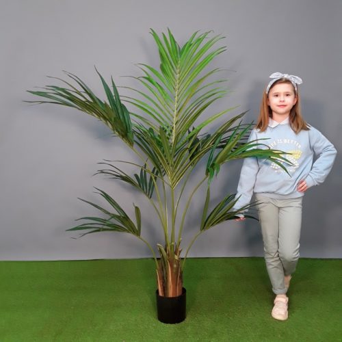 Kentia palm plante d'1 mètre 50 nlcdeco