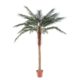 Phoenix palm artificiel jardinerie nlcdeco