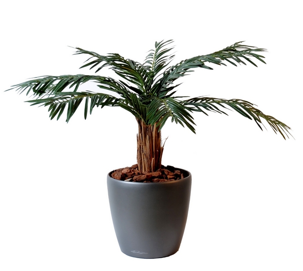 cycas palmier artificiel