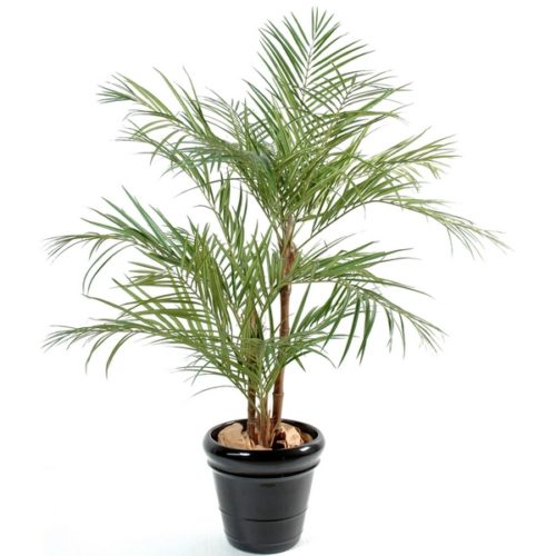 palmier artificiel