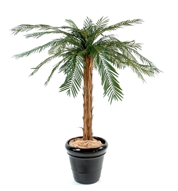 palmier artificiel grandeur nature