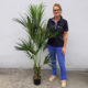 palmier artificiel magnifique nlcdeco plante en resine