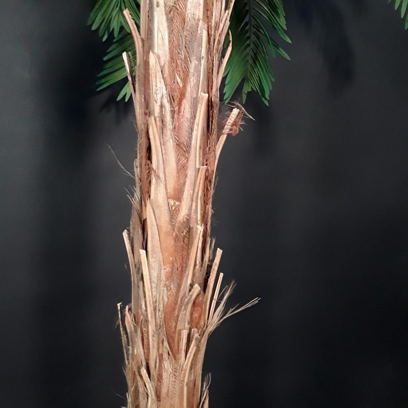 tronc cycas palm nlcdeco
