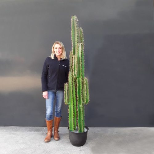 Cactus artificiel nlcdeco