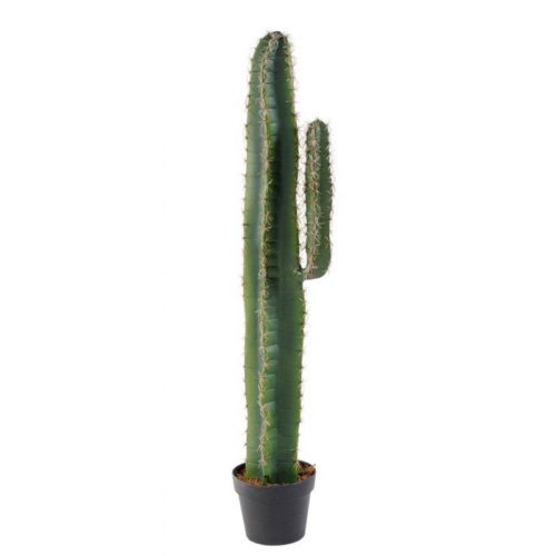Cactus cereus artificiel nlcdeco