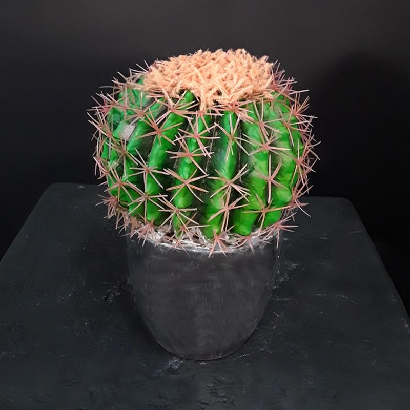 Faux Cactus Déco  Plante Artificielle Déco