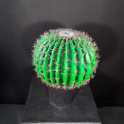 Cactus factice nlcdeco