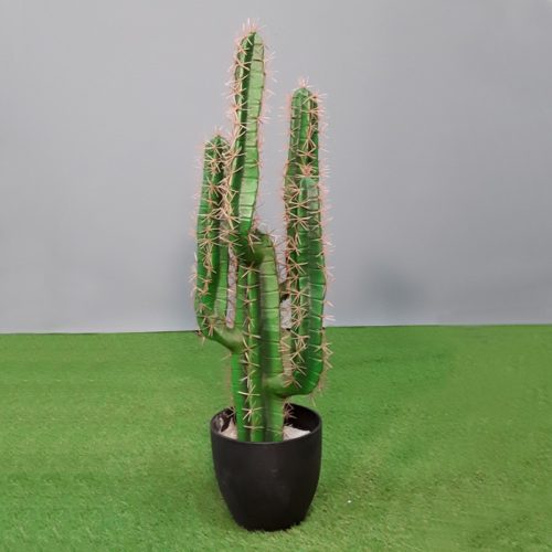 Cactus finger en pot nlcdeco