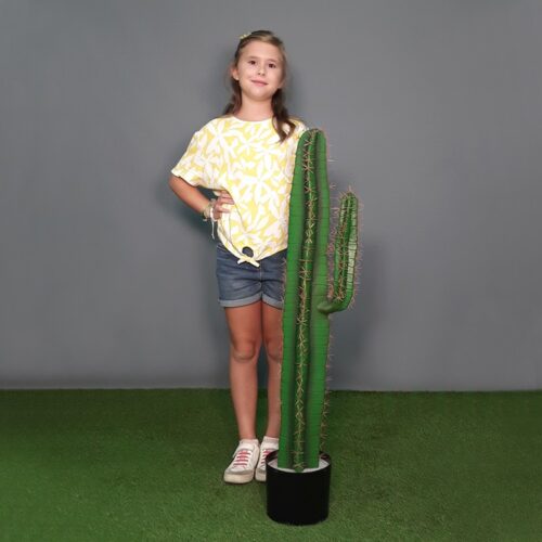 faux cactus d'1 mètre nlcdeco
