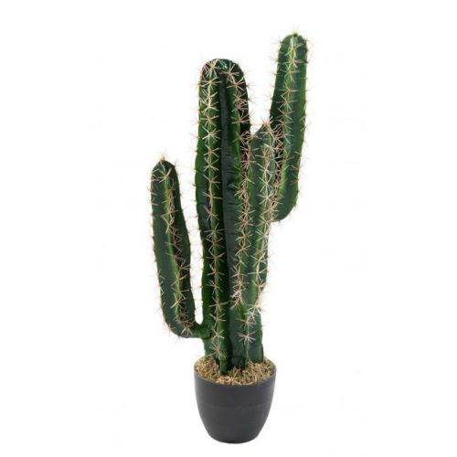 petit cactus artificiel nlcdeco