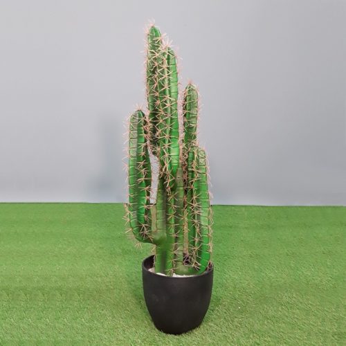 reproduction cactus finger nlcdeco