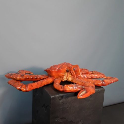 crabe nlcdeco
