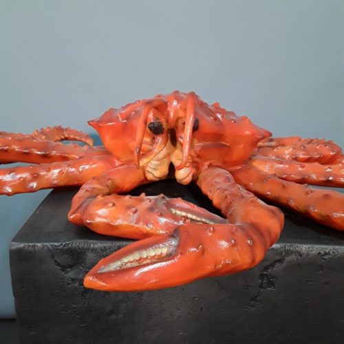 crabe produit de la mer crustacé nlcdeco