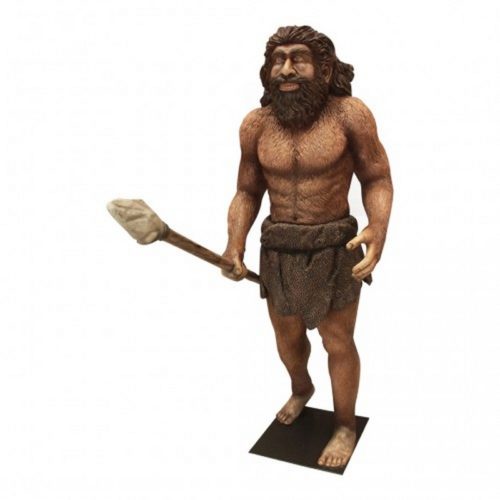 Faux homme de Néandertal nlcdeco