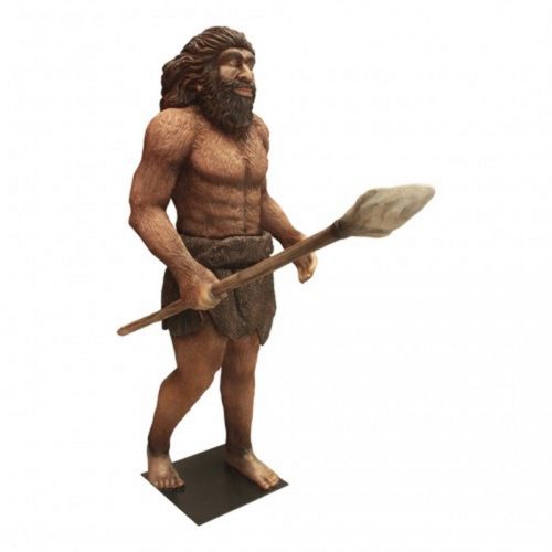 Primate homme de Néandertal nlcdeco