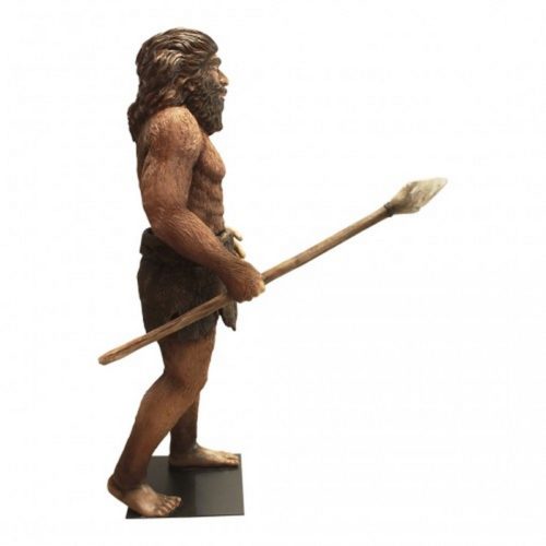 Statue homme de Neandertal nlcdeco