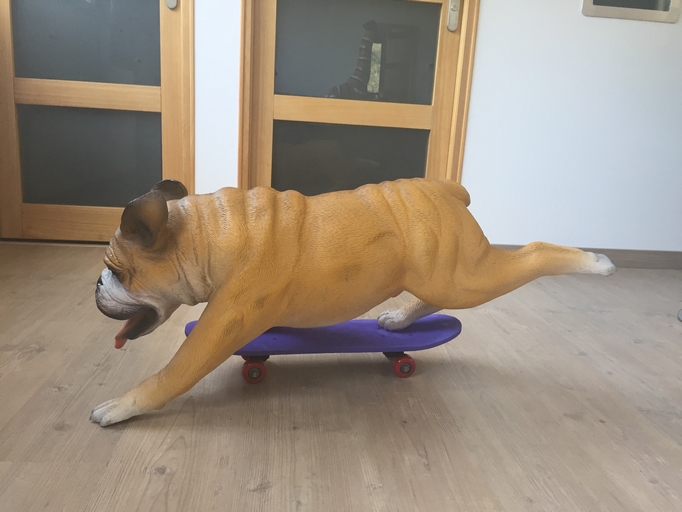 chien sur skateboard en résine