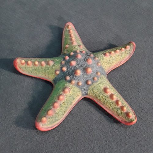 étoile de mer décor marin nlcdeco