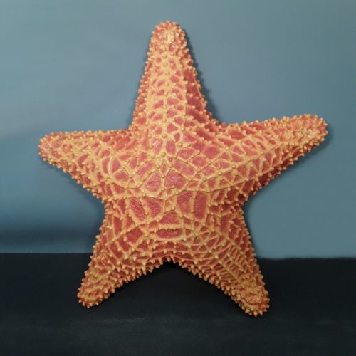 étoile de mer décorative nlcdeco