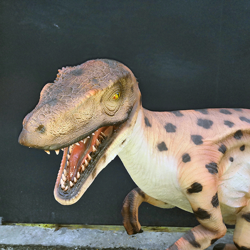 vélociraptor réplique grandeur nature nlcv deco déco dinosaure resine (1)