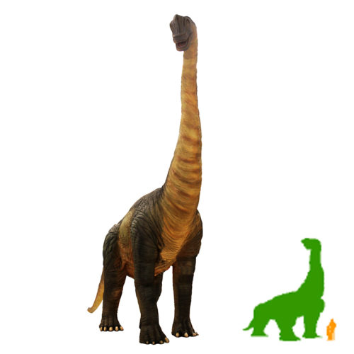 Brachiosaurus NLC DECO