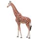 Girafe texturé NLC DECO