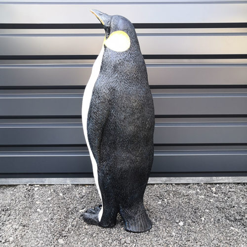 Pingouin femelle – Image 4