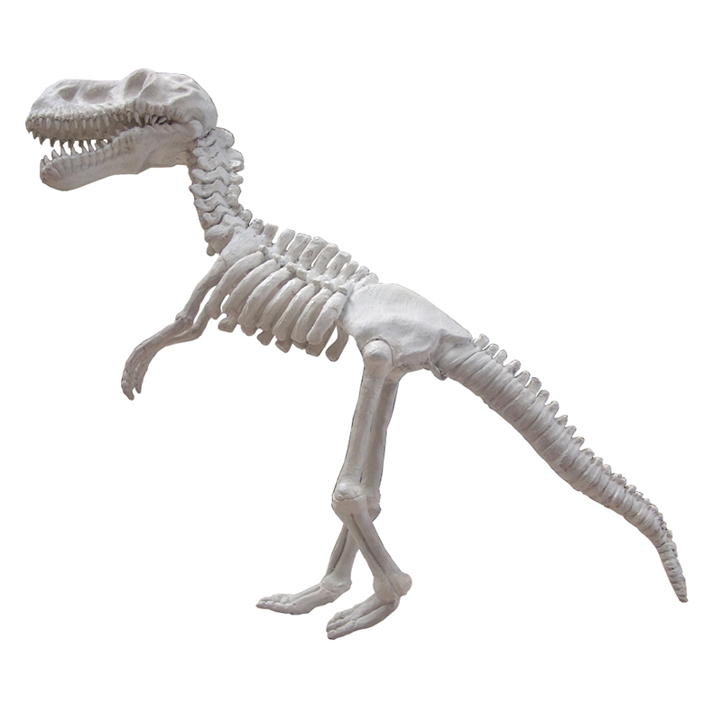 Squelette de dinosaure NLC DECO