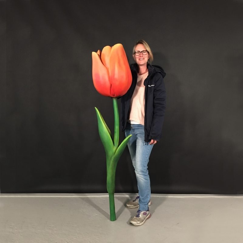 Tulipe-nlcdeco-.jpg