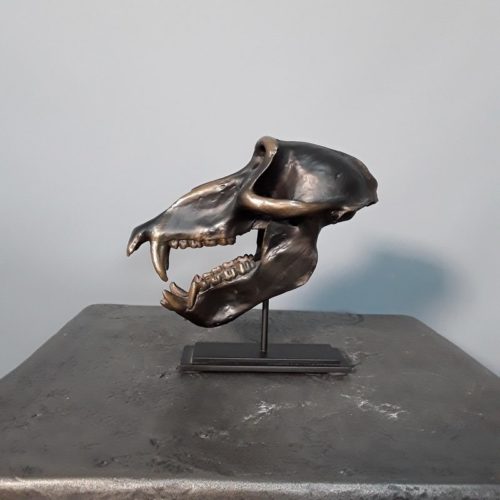 crâne de singe bronze nlcdeco