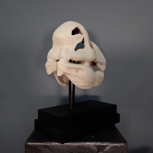 crâne de T-REX sur socle nlcdeco