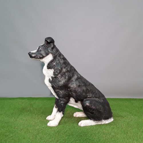 reproduction Border Collie nlcdeco