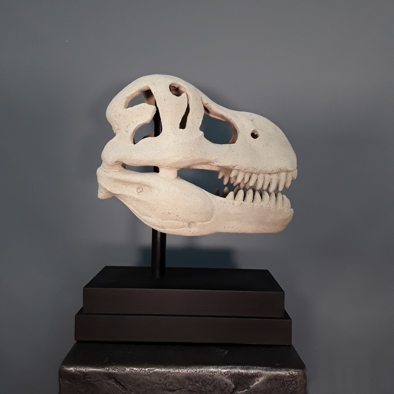 sculpture crâne de T-REX nlcdeco