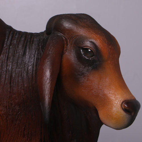 Brahmane vache marron 160001 nlcdeco nlc deco