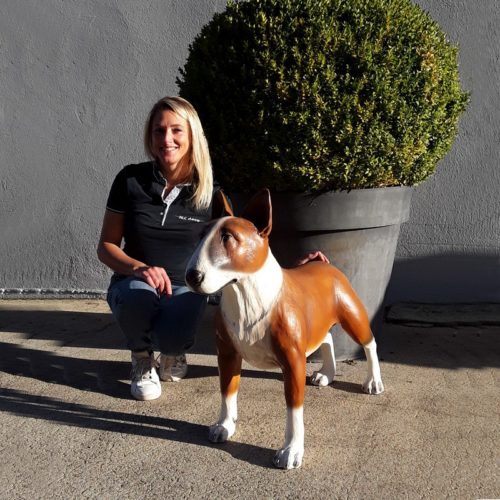 Reproduction chien Bull Terrier nlcdeco
